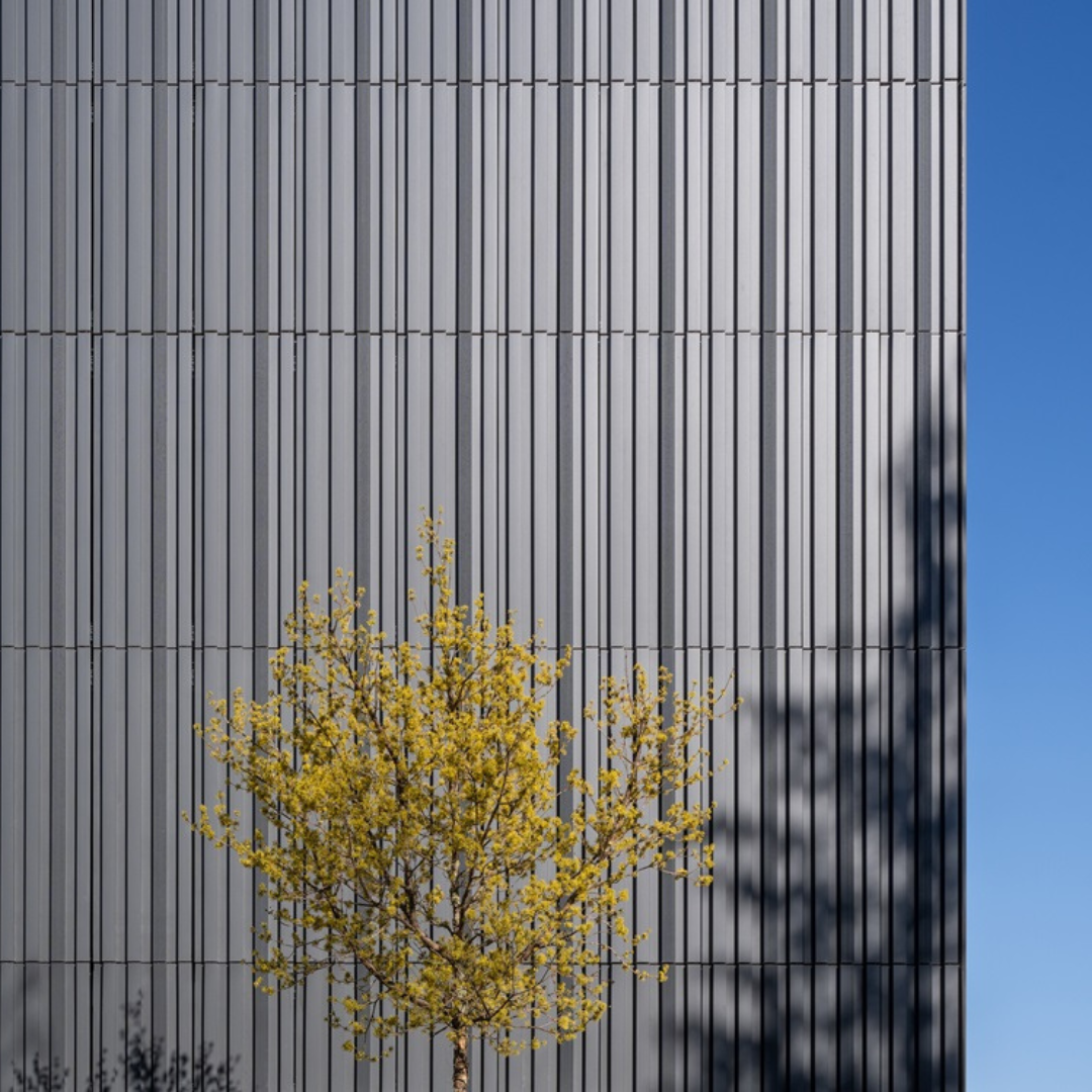 Baum vor einer hohen, dunklen, vertikal gerippten Keramikfassade unter blauem Himmel.